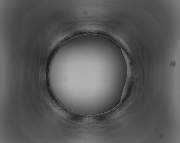 X0000092240399200710051243