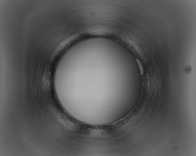 X0000092240400200710051243