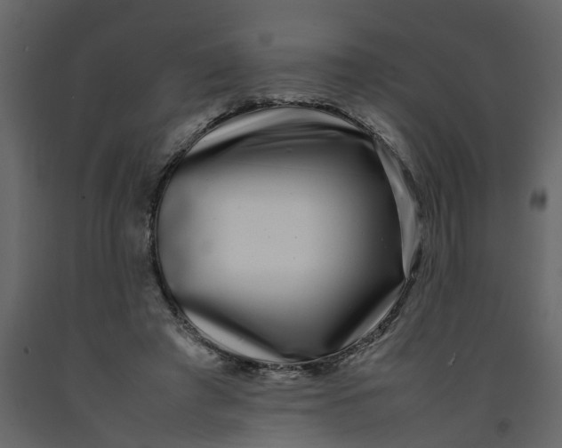 X0000092240401200710051243