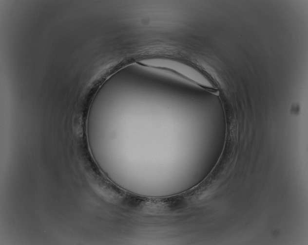 X0000092240403200710051243