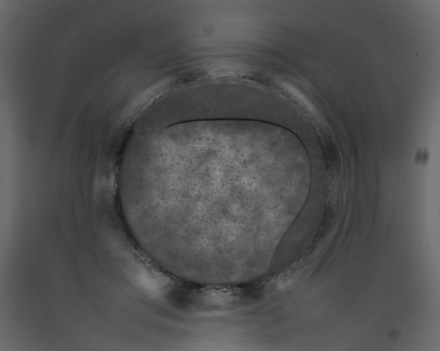 X0000092240405200710051243
