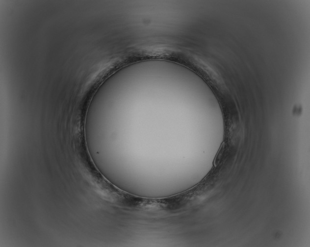 X0000092240407200710051243