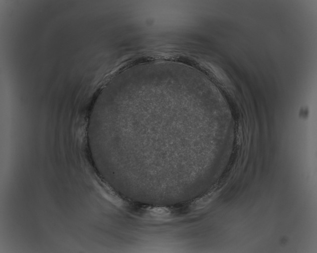 X0000092240409200710051242