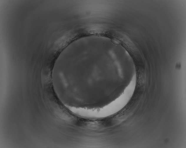 X0000092240411200710051242