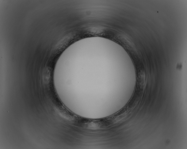 X0000092240412200710051242