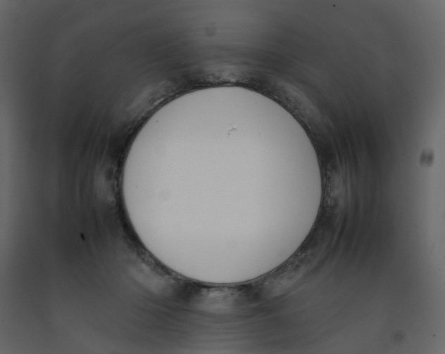 X0000092240414200710051242