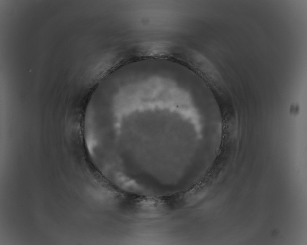 X0000092240415200710051242