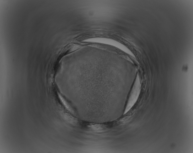 X0000092240417200710051242