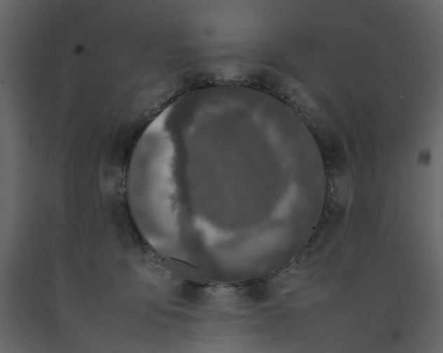 X0000092240419200710051242