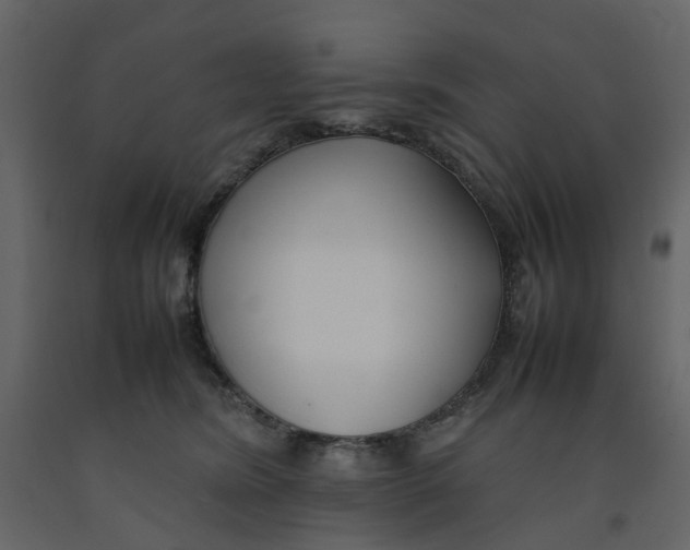 X0000092240420200710051242