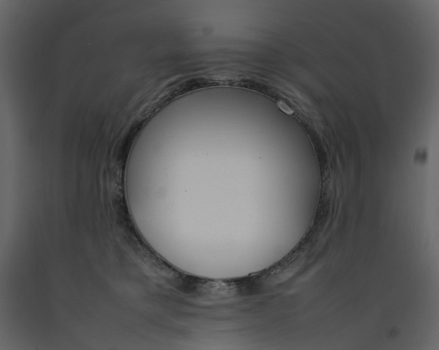 X0000092240421200710051242