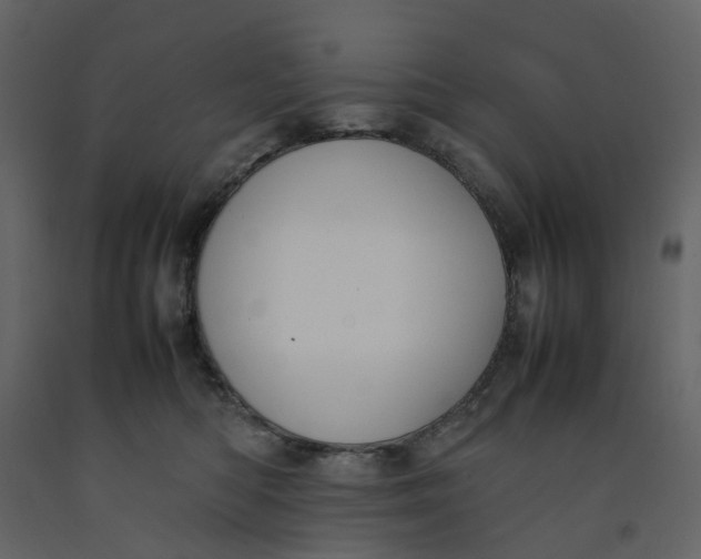 X0000092240422200710051242