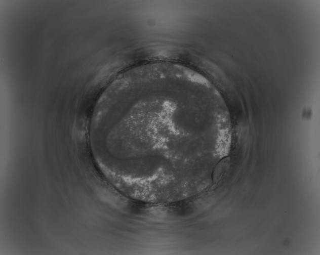 X0000092240423200710051242