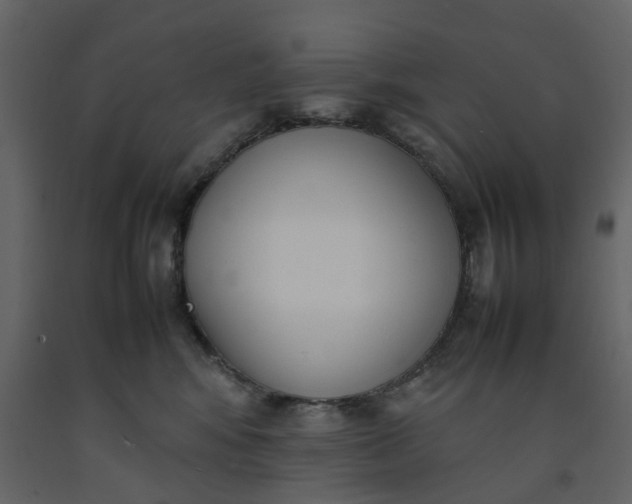 X0000092240424200710051242