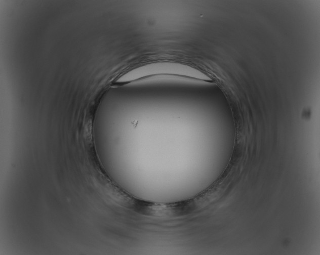 X0000092240425200710051242