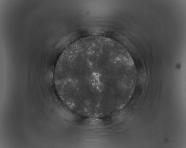 X0000092240427200710051242