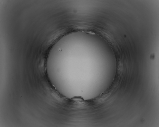 X0000092240428200710051242