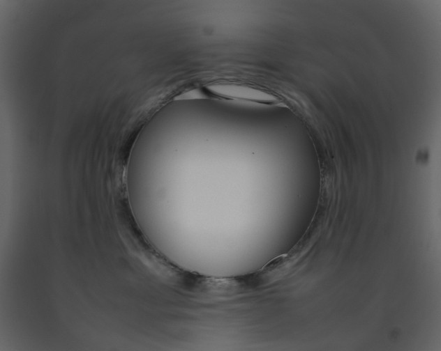 X0000092240429200710051242