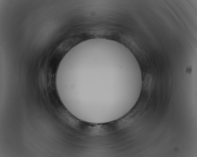 X0000092240430200710051242