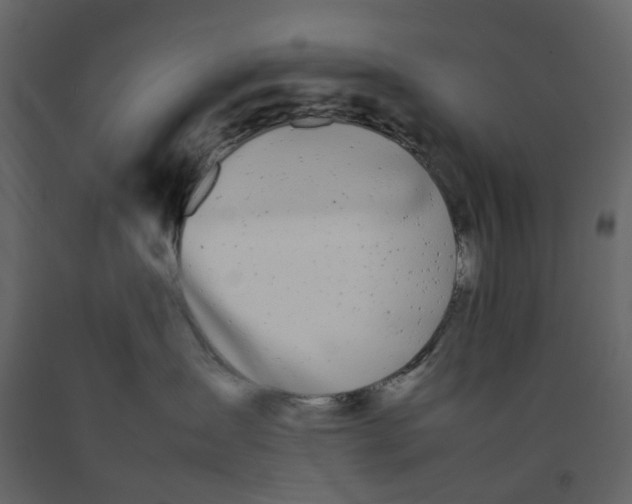 X0000092240431200710051242