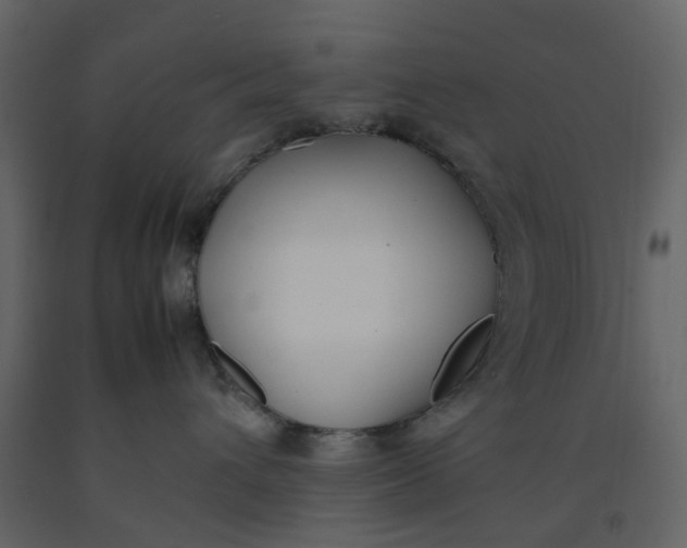 X0000092240432200710051242