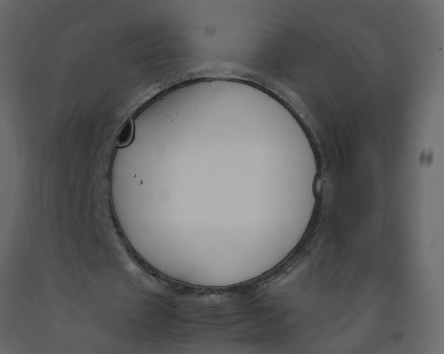 X0000092240433200710051242