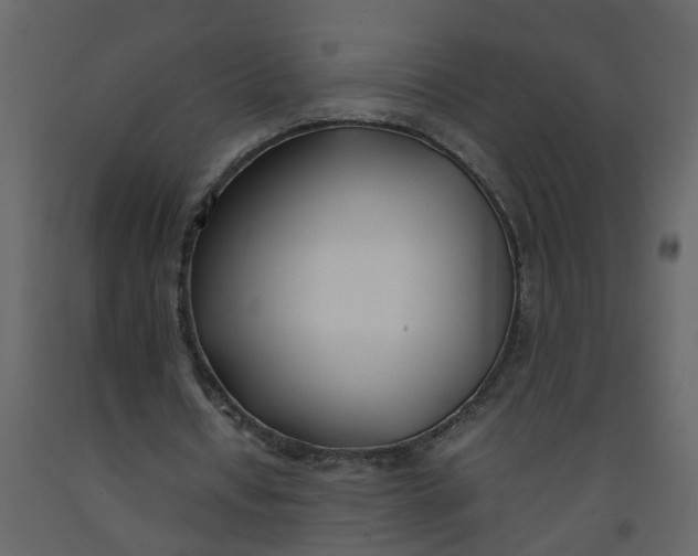 X0000092240434200710051242