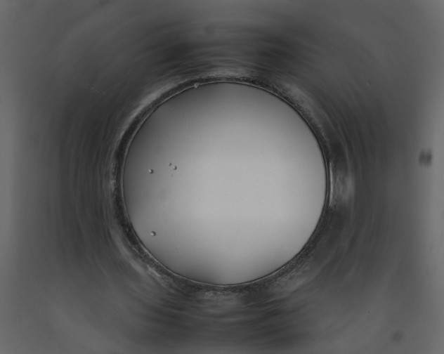 X0000092240435200710051242