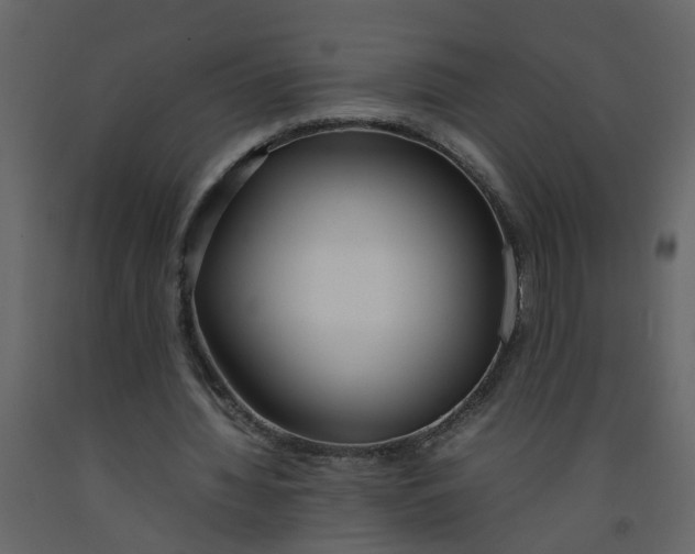 X0000092240436200710051242