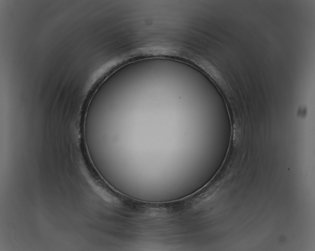 X0000092240438200710051242