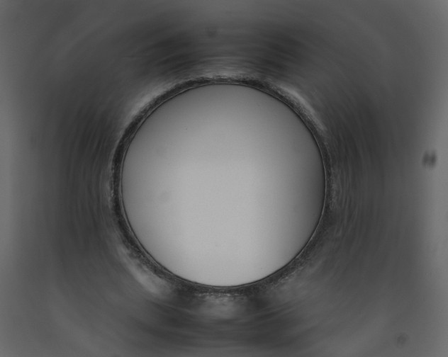 X0000092240439200710051242