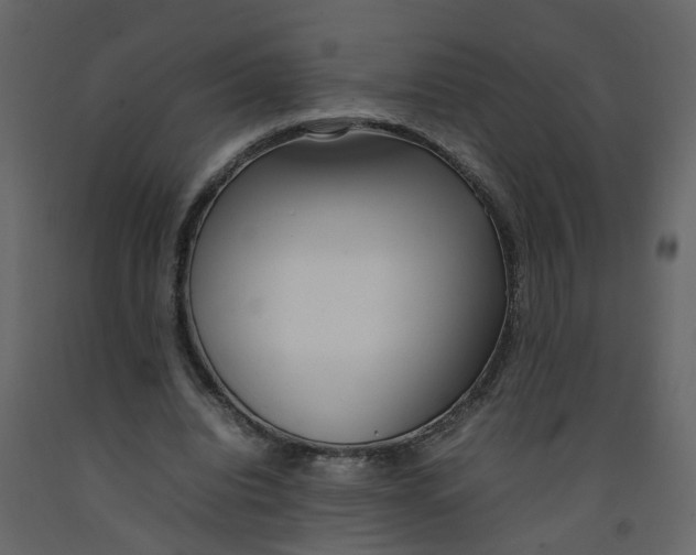 X0000092240440200710051242