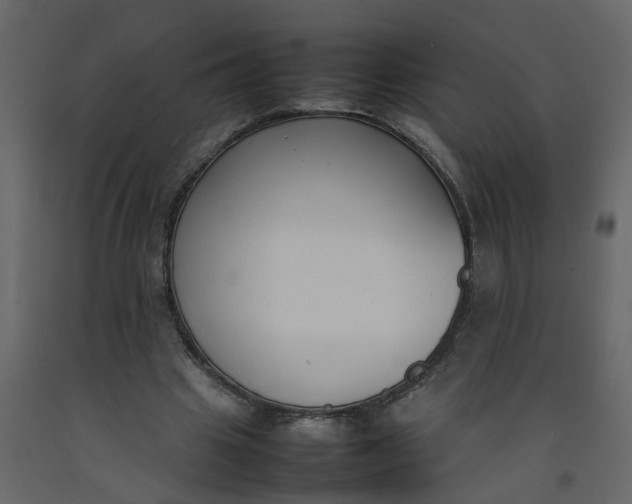 X0000092240441200710051242