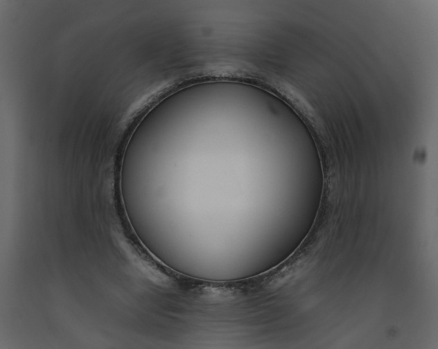 X0000092240442200710051242