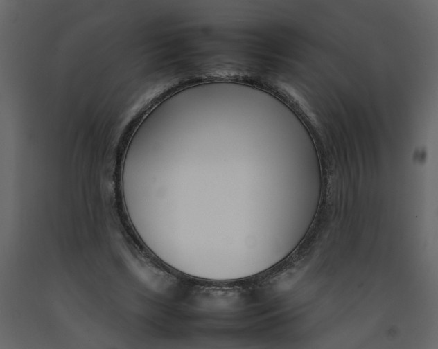 X0000092240443200710051242