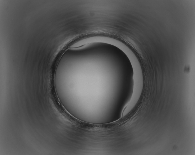 X0000092240444200710051242