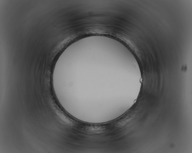 X0000092240445200710051242