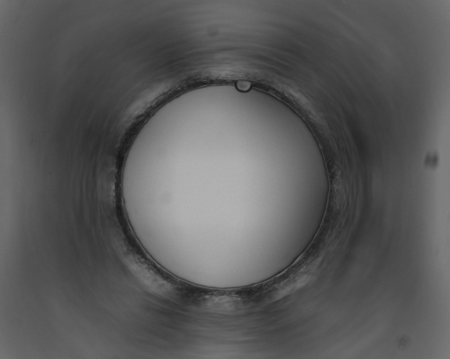 X0000092240446200710051242