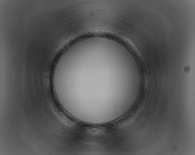 X0000092240447200710051242