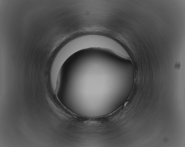 X0000092240448200710051242