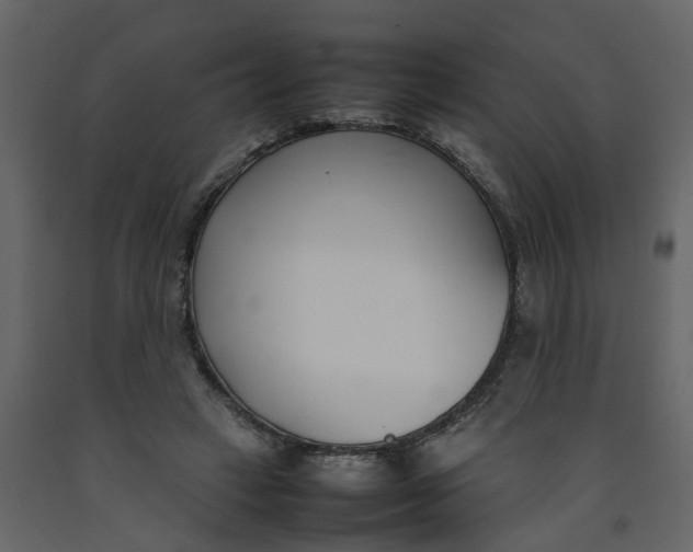 X0000092240449200710051242