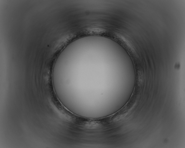 X0000092240451200710051242