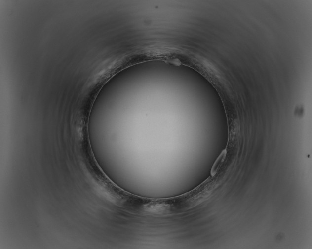 X0000092240452200710051242