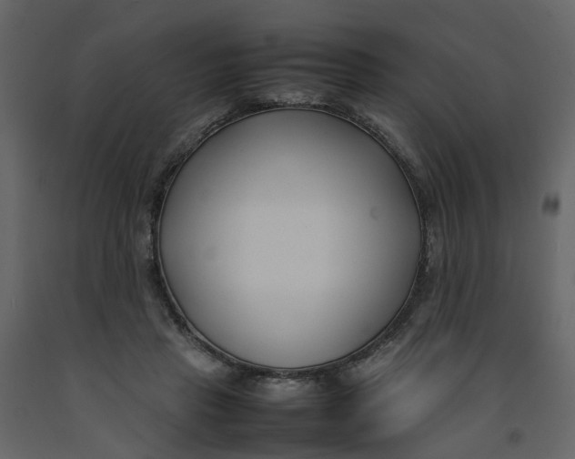 X0000092240453200710051242