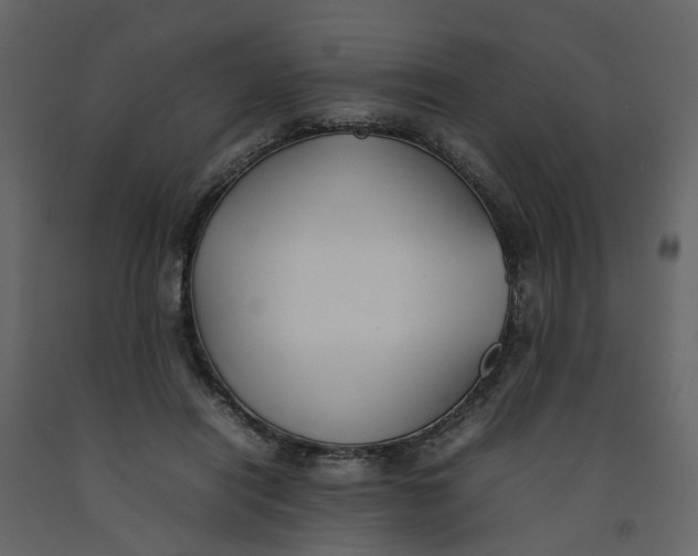 X0000092240454200710051242