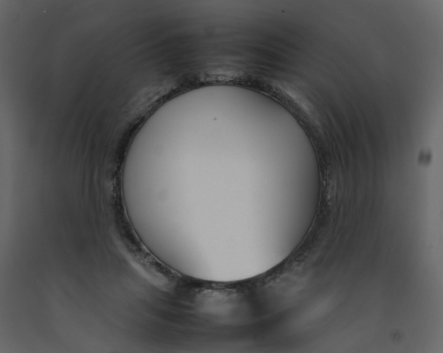 X0000092240455200710051242