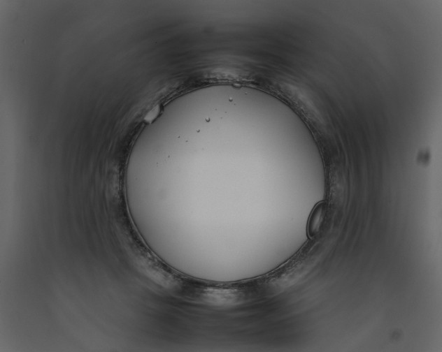 X0000092240457200710051242