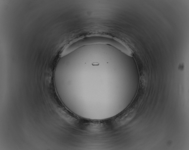 X0000092240458200710051242