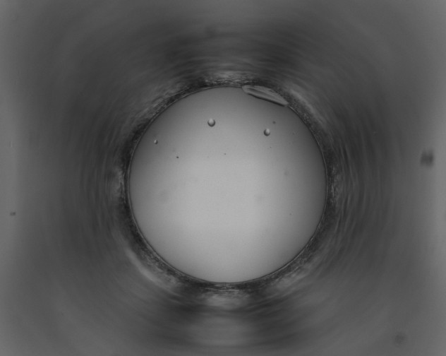 X0000092240459200710051242