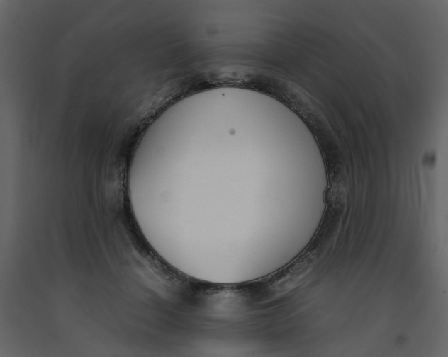 X0000092240460200710051242